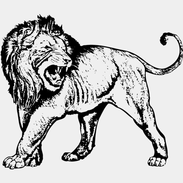 LION007 Thumbnail