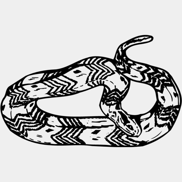 SNAKE002 Thumbnail