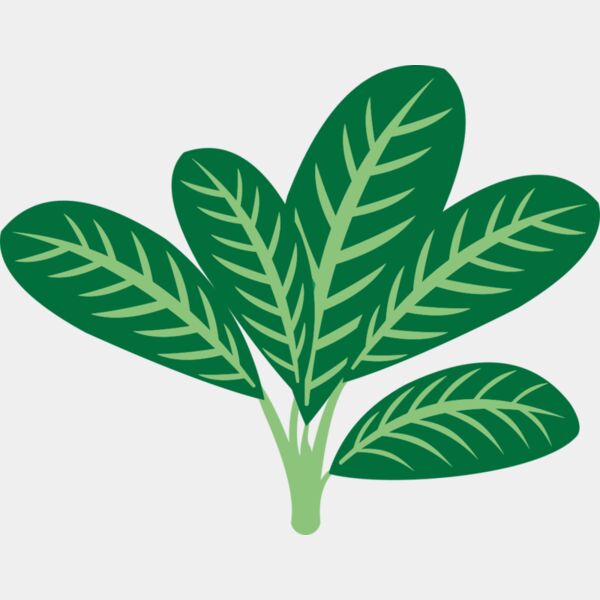 Plants 7 Thumbnail