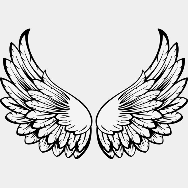 ES3wing15clr Thumbnail