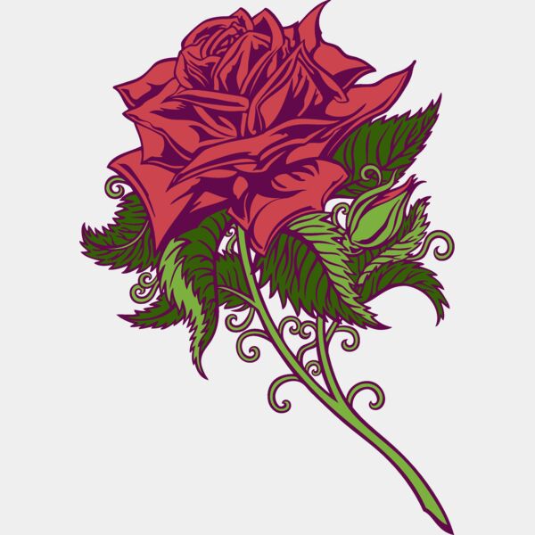 es2rose008clr Thumbnail