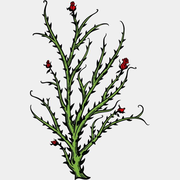 es2thorns004clr Thumbnail