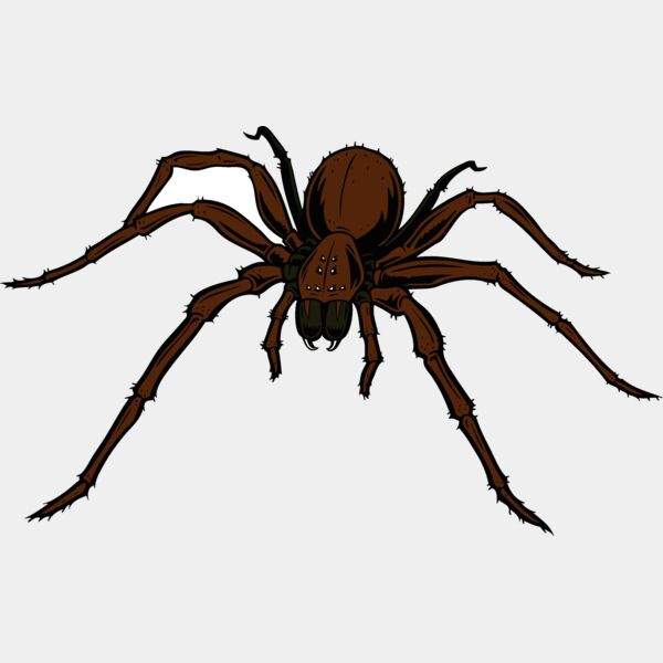 esspider006clr Thumbnail