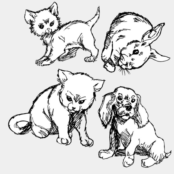 babyanimals Thumbnail