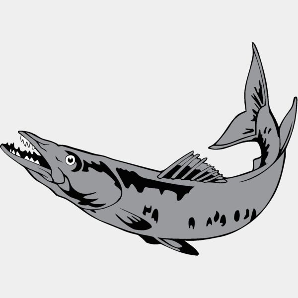 barracuda1 Thumbnail