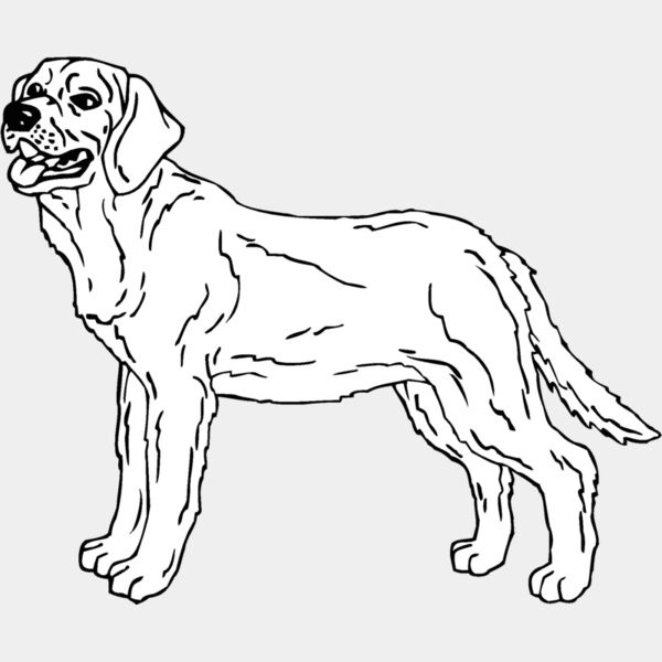 labrador01 Thumbnail