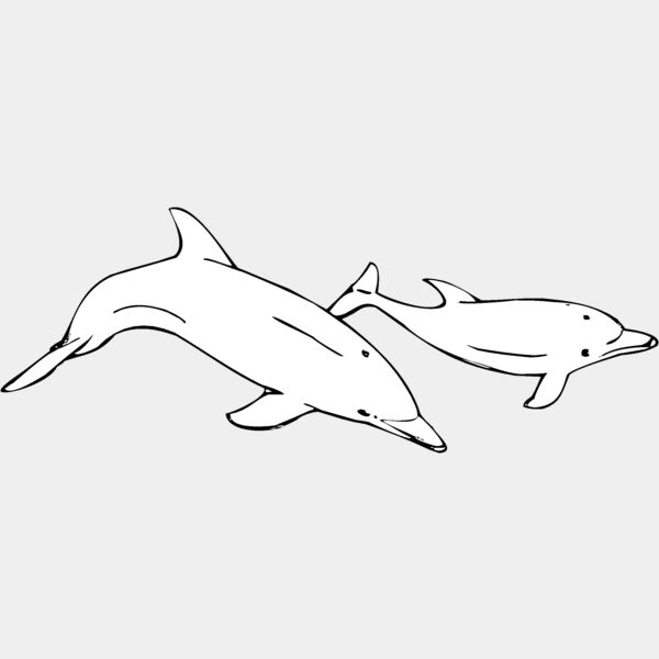 bottlenosedolphin Thumbnail