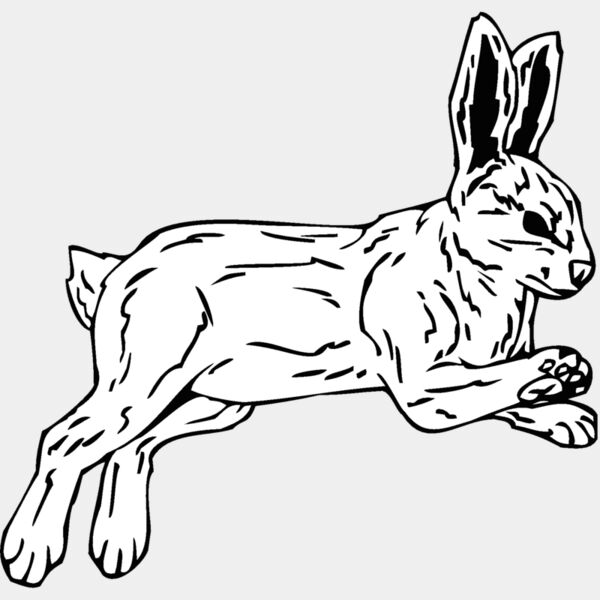 rabbit Thumbnail