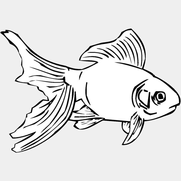 goldfish01 Thumbnail