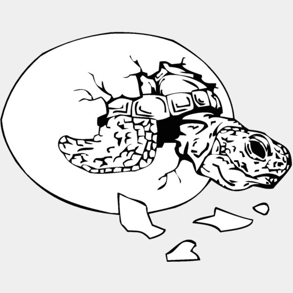 hatchingturtle Thumbnail