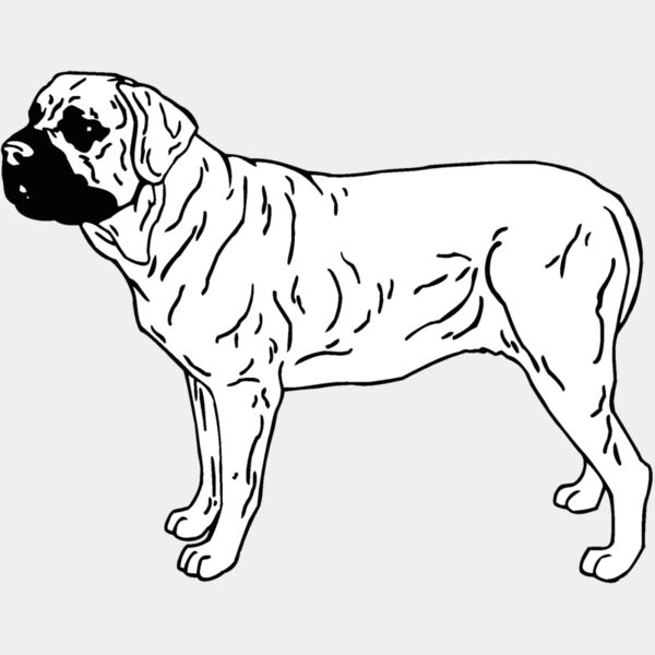 bullmastiff Thumbnail