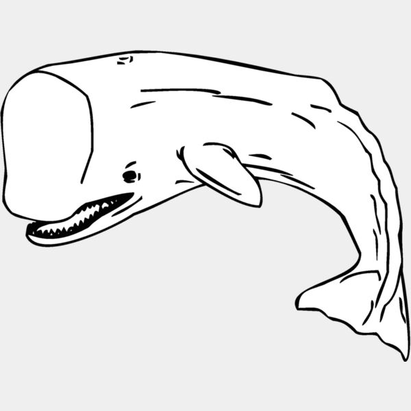 whale Thumbnail