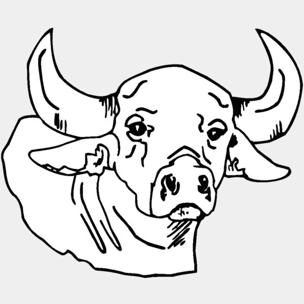 bull Thumbnail