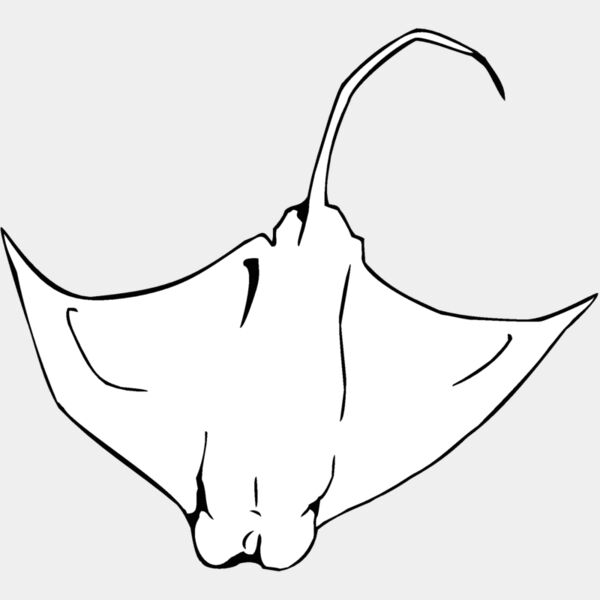 eagleray01 Thumbnail