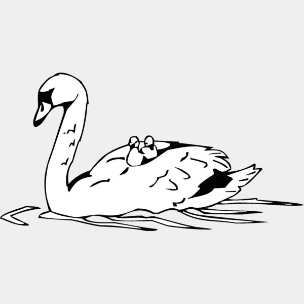 swan Thumbnail