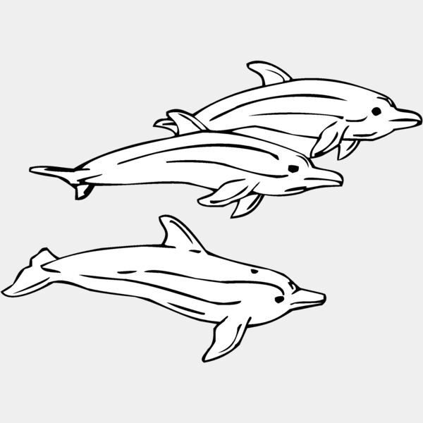 dolphins01 Thumbnail