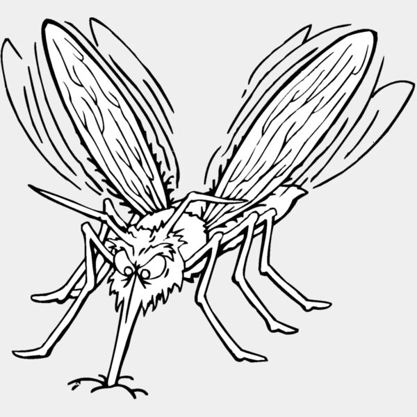 mosquito Thumbnail