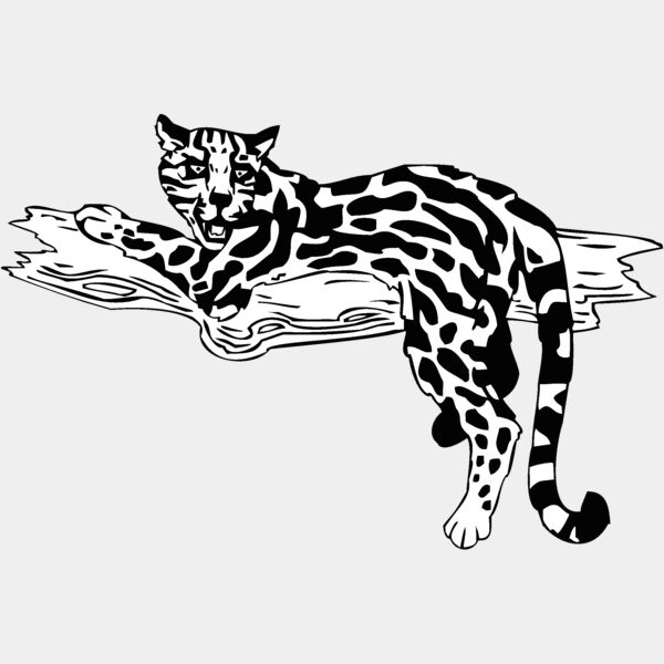 ocelot Thumbnail