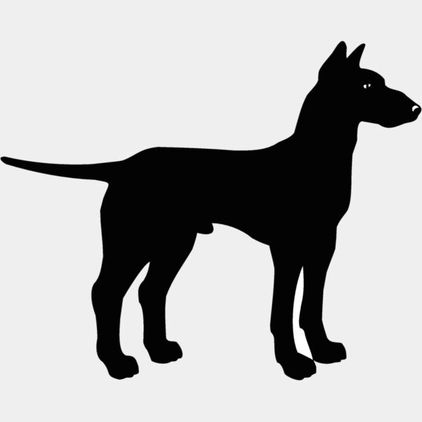 manchester terrier Thumbnail