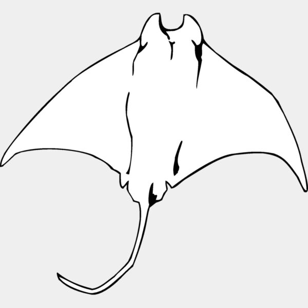 mantaray01 Thumbnail
