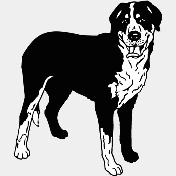 greater swiss mountain dog Thumbnail