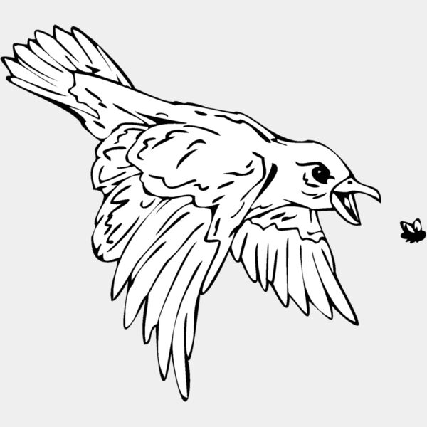 birdcatchingbug Thumbnail