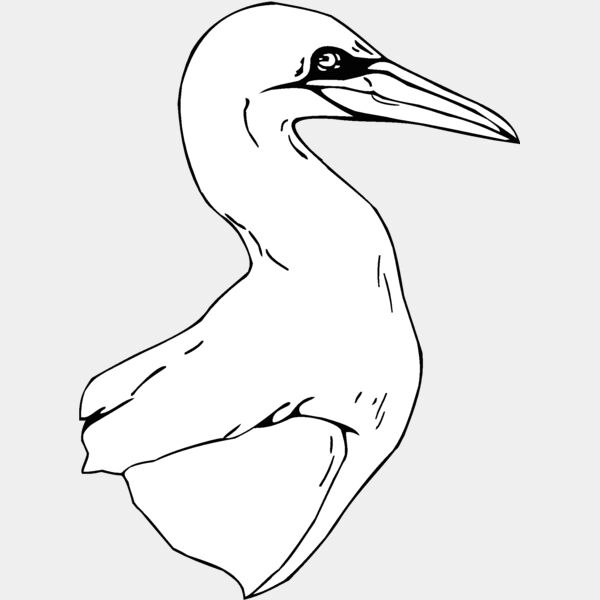 northern crane Thumbnail