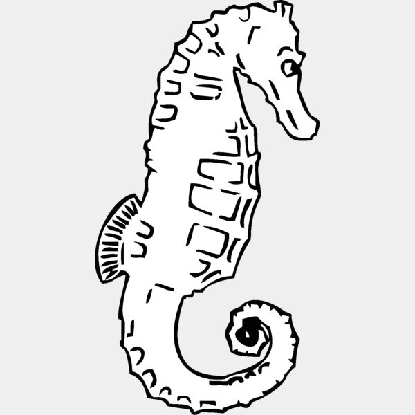 seahorse Thumbnail