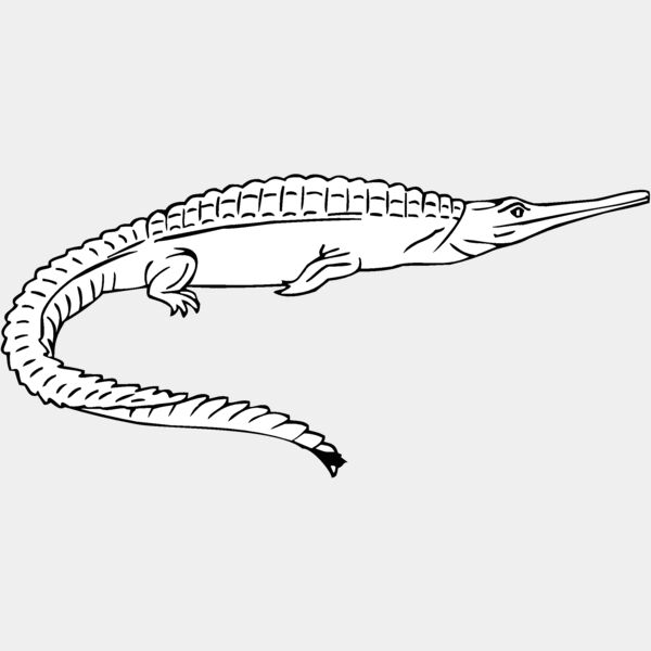 teleosaurus Thumbnail