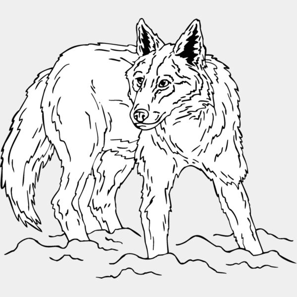 coyote8 Thumbnail