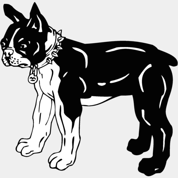 boston terrier Thumbnail