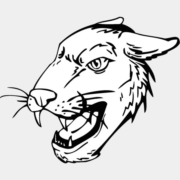 cougar Thumbnail