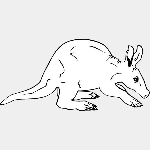 aardvark Thumbnail