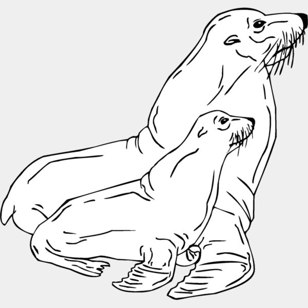 seals Thumbnail