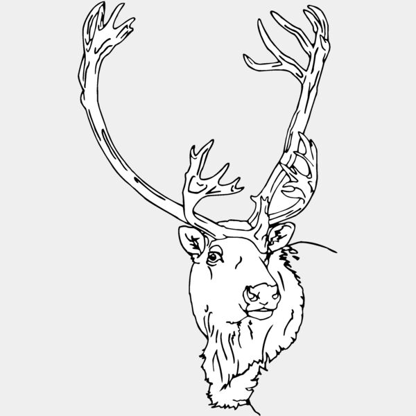caribou3 Thumbnail