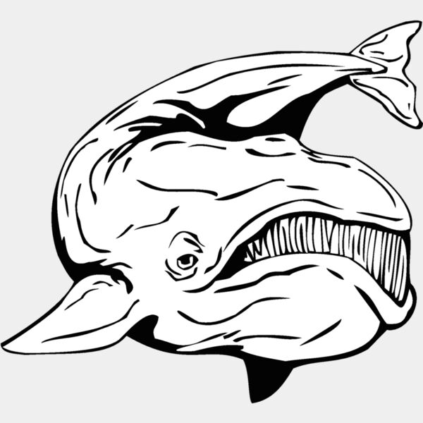 whale3 Thumbnail