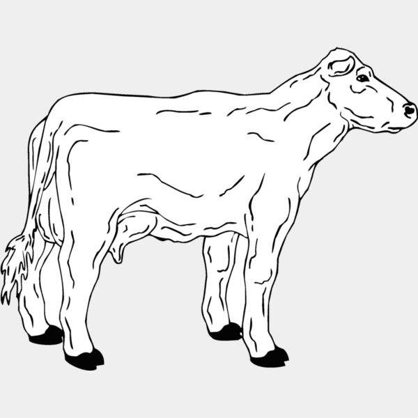 cow2 Thumbnail