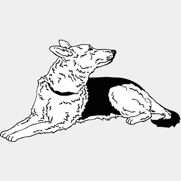 german shepherd Thumbnail