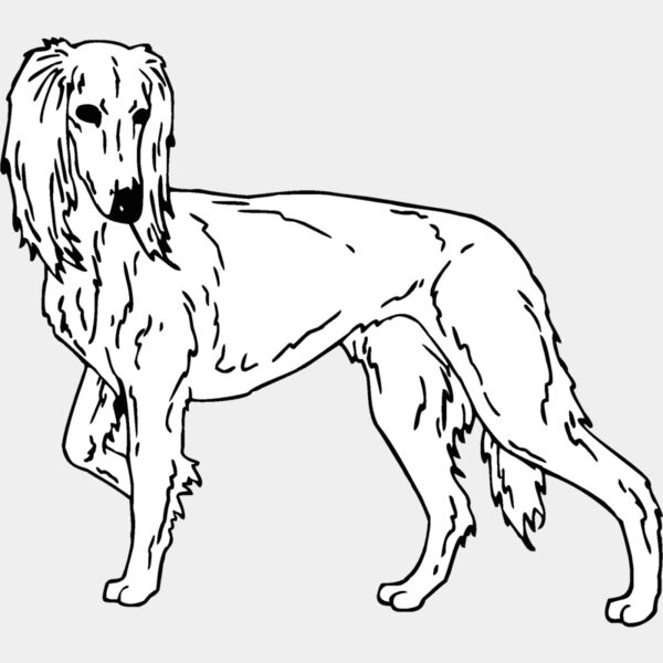saluki Thumbnail