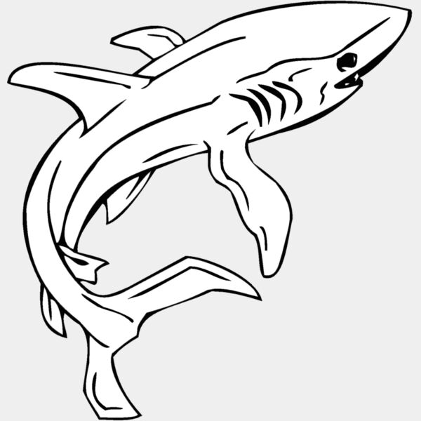 shark2 Thumbnail
