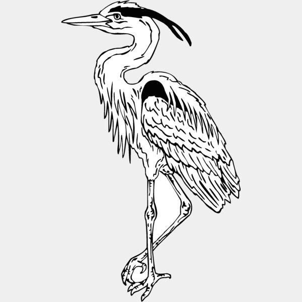 great heron Thumbnail