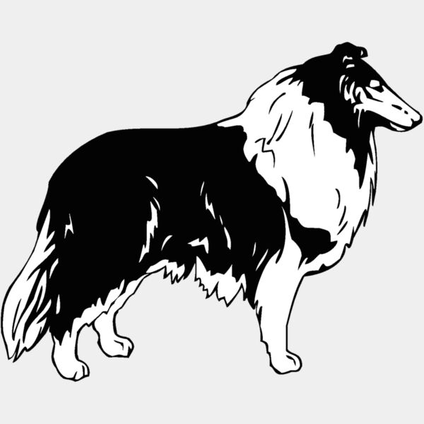 collie Thumbnail