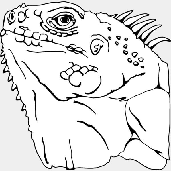 iguana 02 Thumbnail