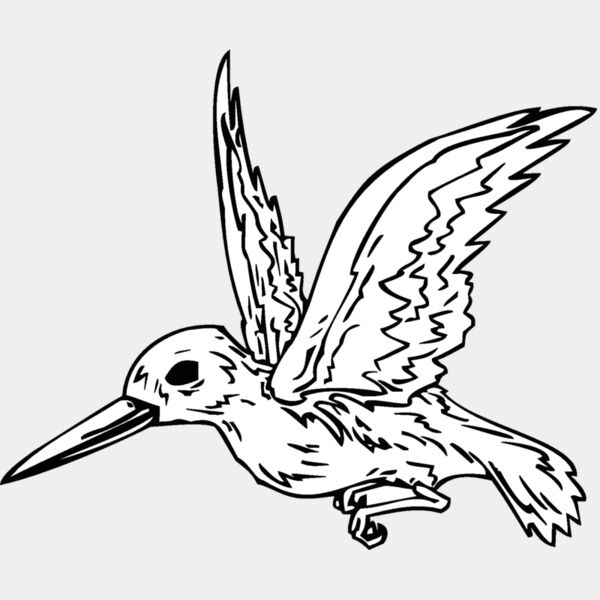 hummingbird Thumbnail