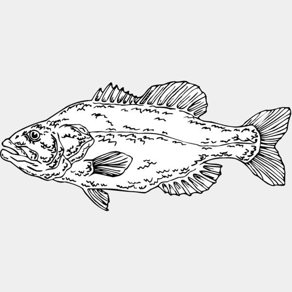 largemouthbass Thumbnail