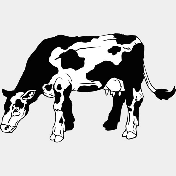cow Thumbnail