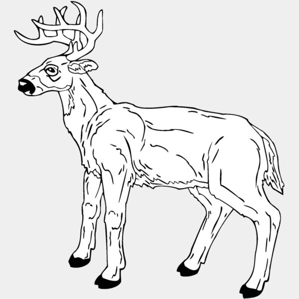 deer 7 Thumbnail