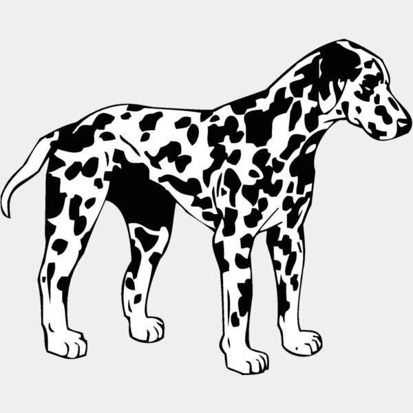 dalmation Thumbnail
