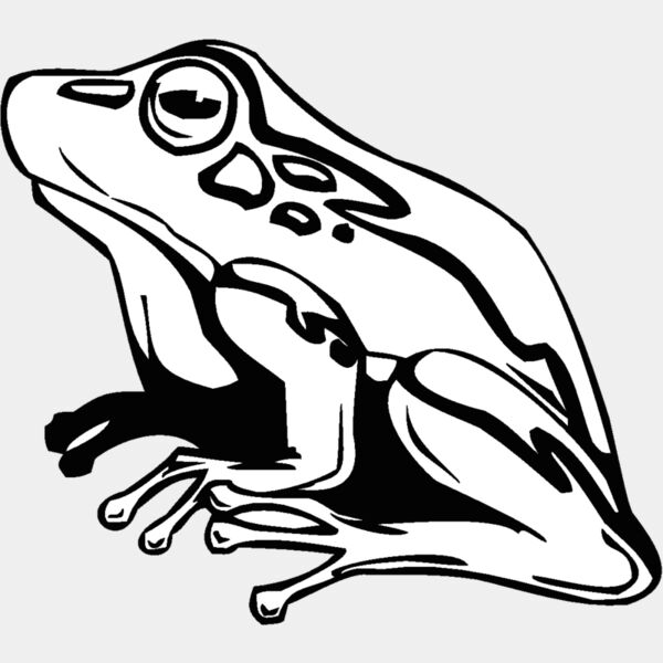 frog3 Thumbnail