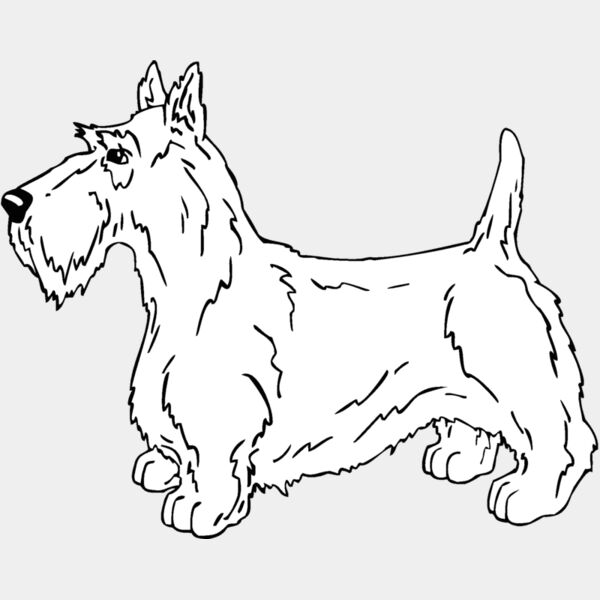scottish terrier Thumbnail